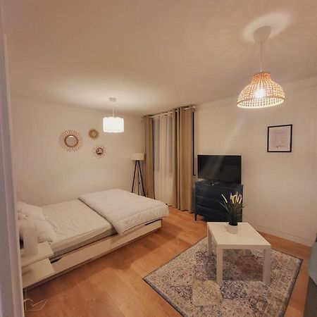 Appartement T1 Bis 35M2 Annecy Proche Centre Ville Экстерьер фото